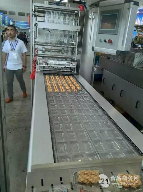 山東廠家直銷 高效可靠的地瓜干休閑食品真空包裝設(shè)備解決方案